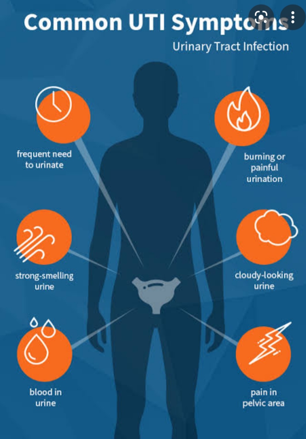 URINARY TRACT INFECTION : An overview on disease and management.